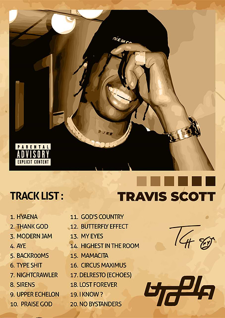 Travis Scott / platina