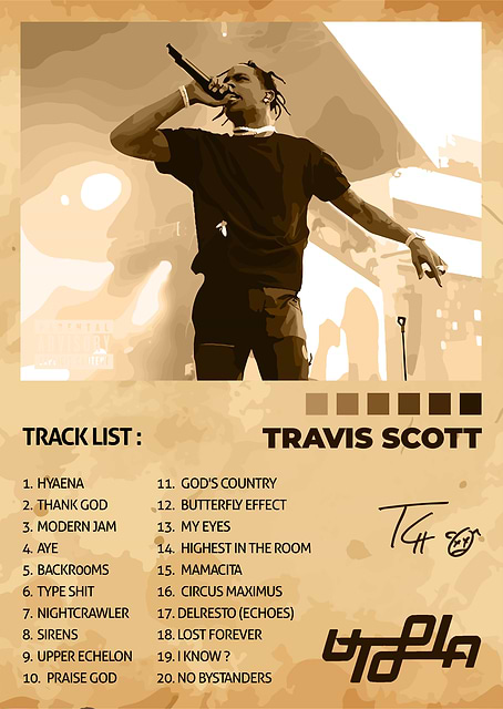 Travis Scott / platina