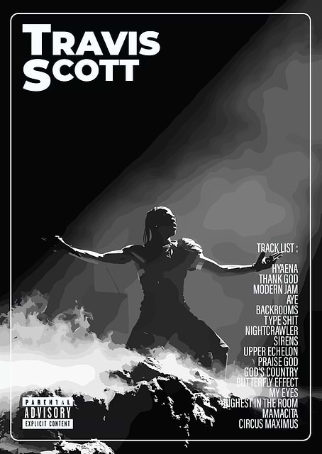 Travis Scott / platina