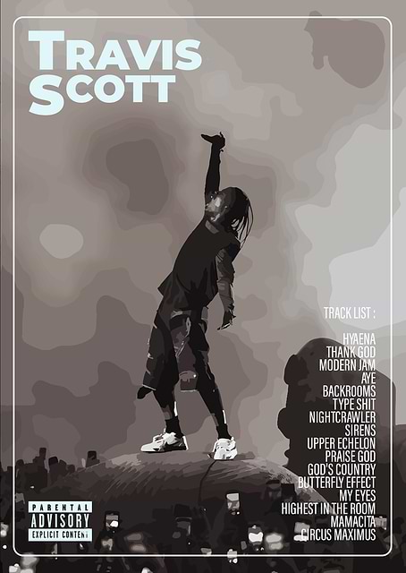 Travis Scott / platina