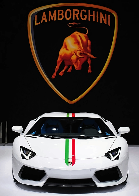 Lamborghini Aventador / PLATINA