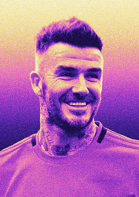 David Beckham Portrait / PLATINA