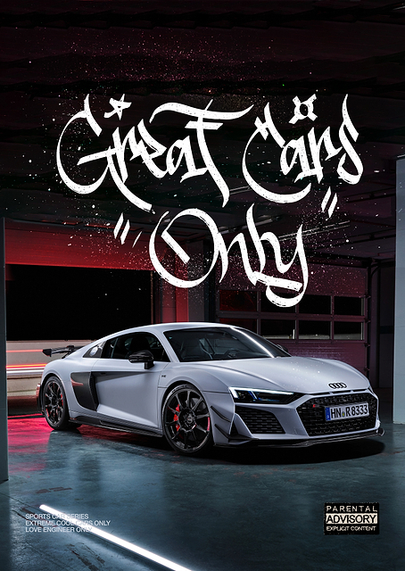 Audi R8 Coupe / PLATINA
