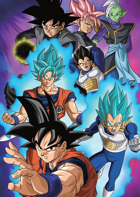 Transformations / PLATINA