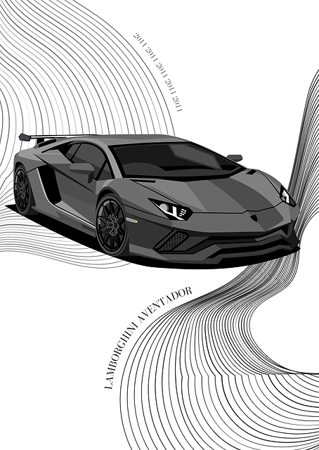 Lamborghini Aventador / PLATINA