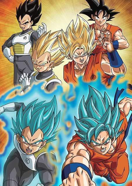 Transformation / platina