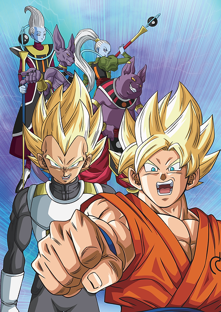 Goku and Vegeta vs Gods / PLATINA
