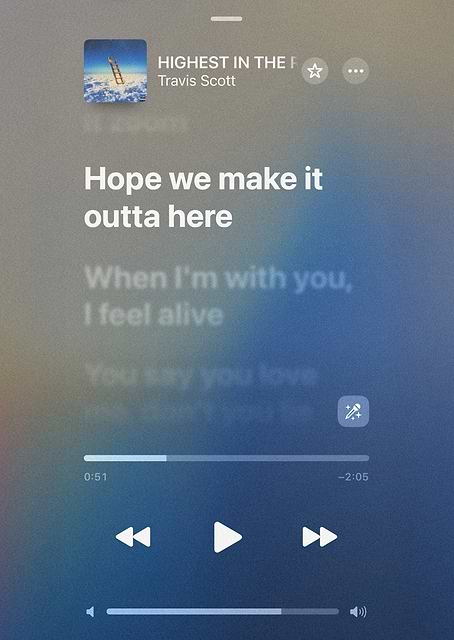 Travis Scott / platina