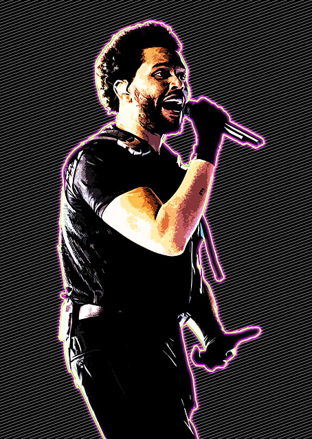 The Starboy / platina