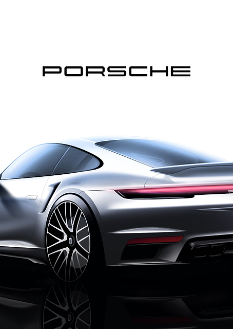 Porsche 911 Silver Back / PLATINA
