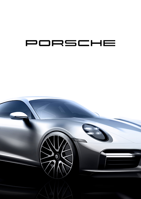 Porsche 911 Silver Front / PLATINA
