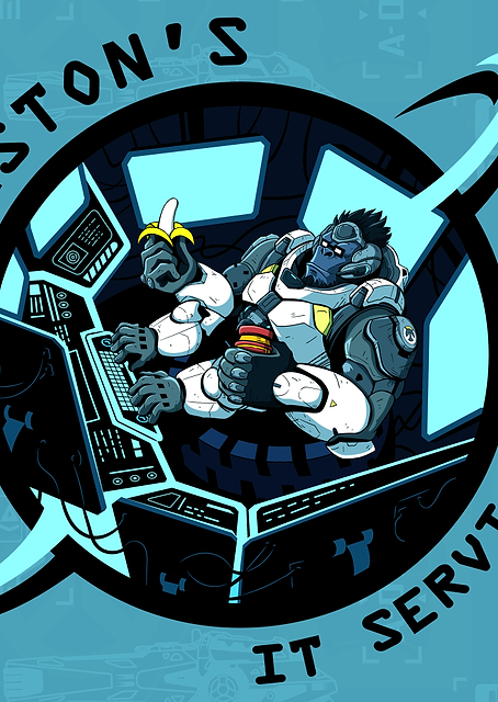 Winston's IT Services / PLATINA