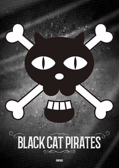 Jolly Rogers Black Cat Pirates / PLATINA