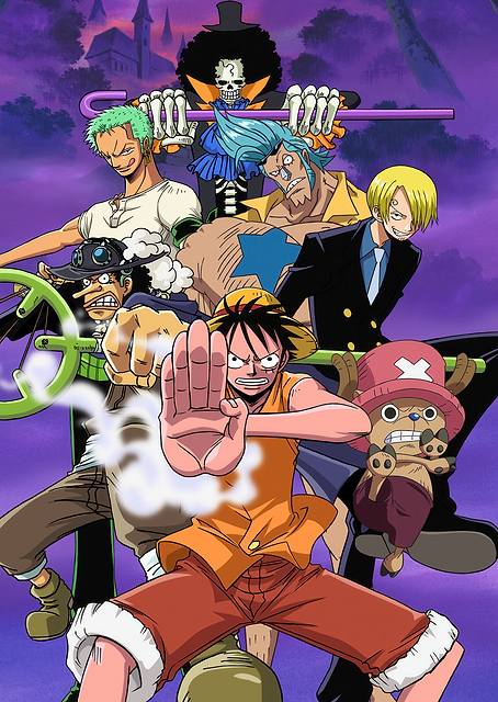 Thriller Bark Straw Hat Pirates / PLATINA