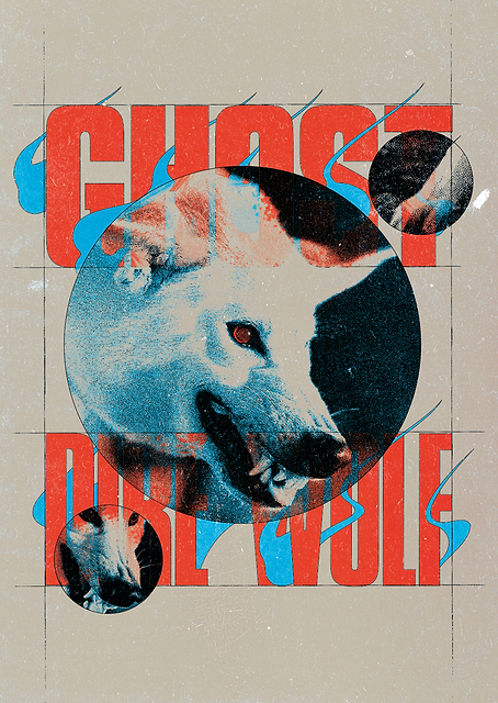 Ghost the Direwolf from Game of Thrones / platina