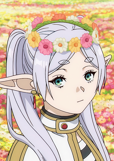 Frieren on a flowery meadow / PLATINA