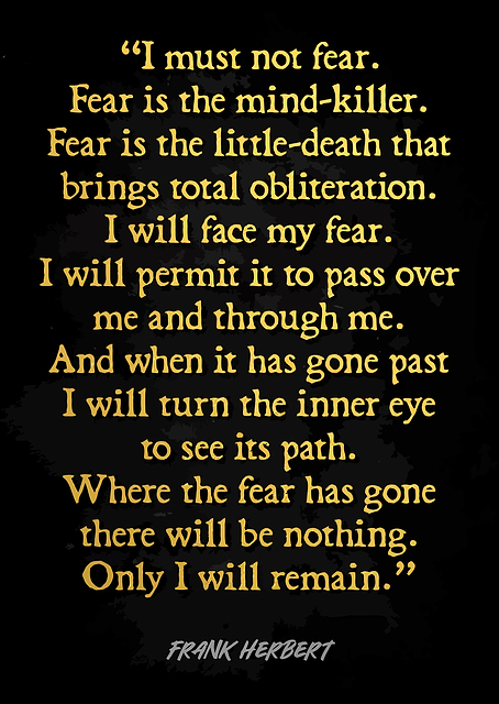 Dune Quote: I Must Not Fear / platina