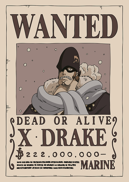 X Drake Wanted / PLATINA