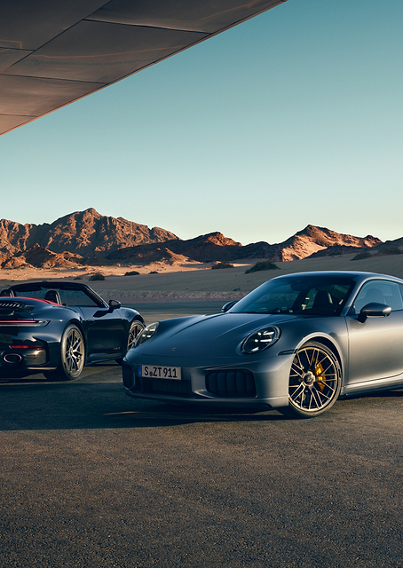 Porsche 911 Desert Duo / PLATINA