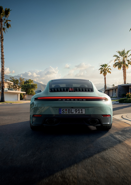 Porsche 911 in Desert Oasis / PLATINA