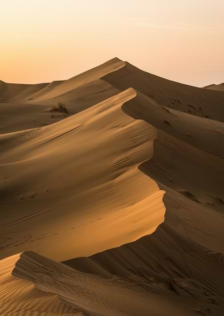 Golden Desert Sand Dunes Landscape / platina