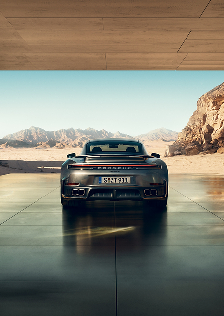 Sleek Porsche, Vast Desert Horizon / PLATINA