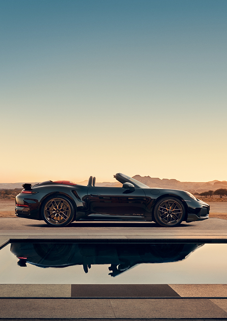 Porsche 911 in Desert Oasis / PLATINA