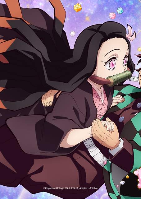 Demon Slayer Mugen Train Arc: Best Brother Energy / PLATINA