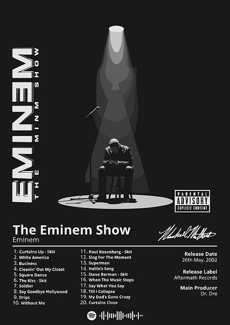 Eminem The Eminem Show Album Cover / platina