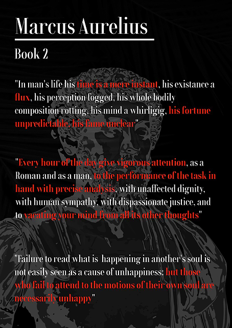 Marcus Aurelius Book 2 / platina