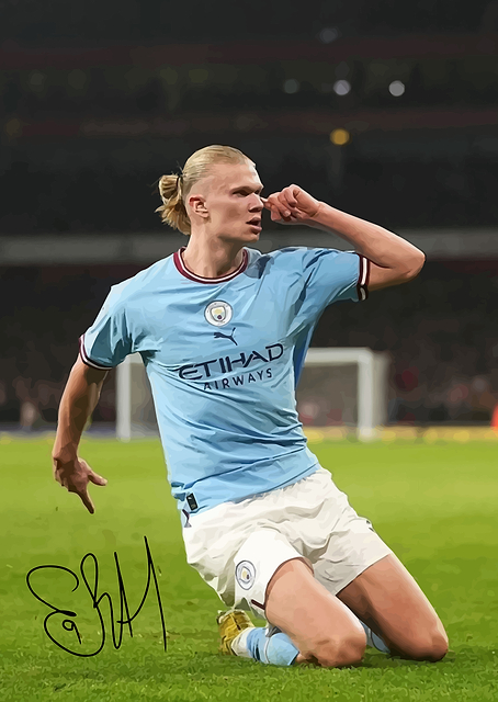 Erling Haaland Celebration / PLATINA