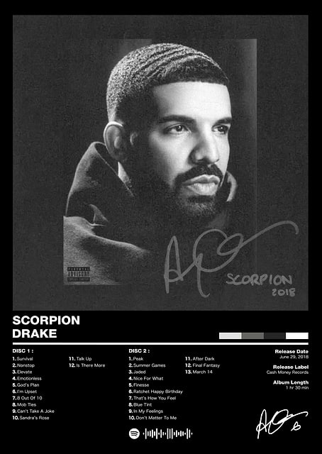 Drake - Scorpion / platina