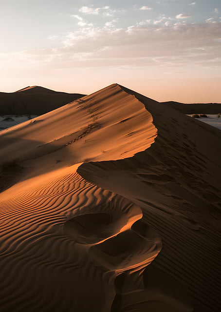 Desert Dunes at Sunset / platina