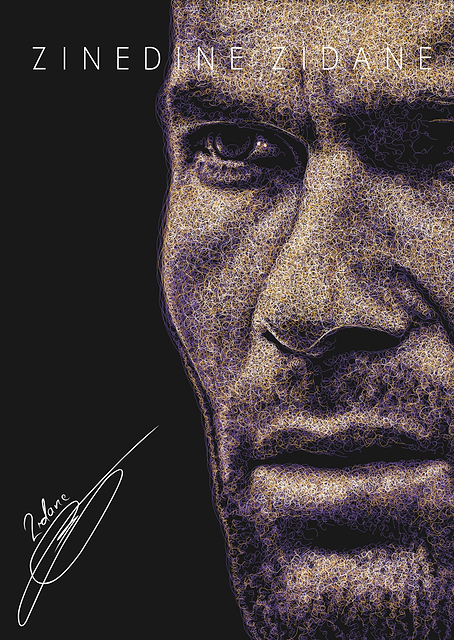 Zinedine Zidane Portrait Art / PLATINA