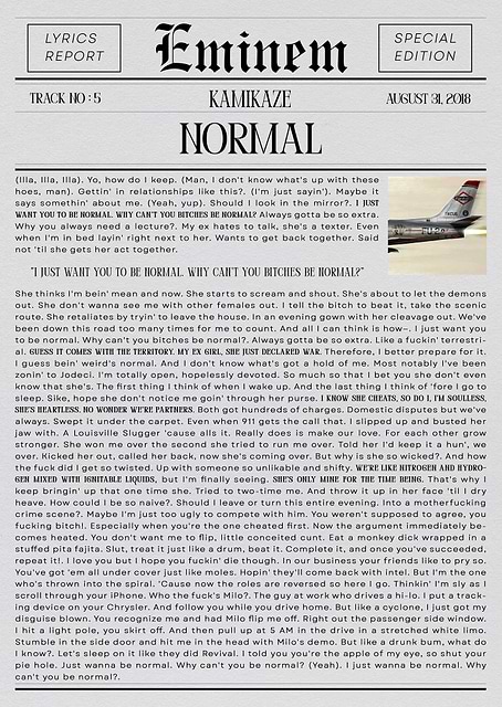 Eminem Normal Lyrics Report / platina