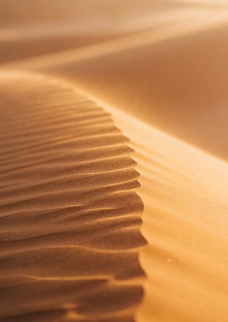 Desert Sand Dunes / platina
