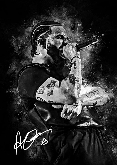 Drake Performing on Stage / platina