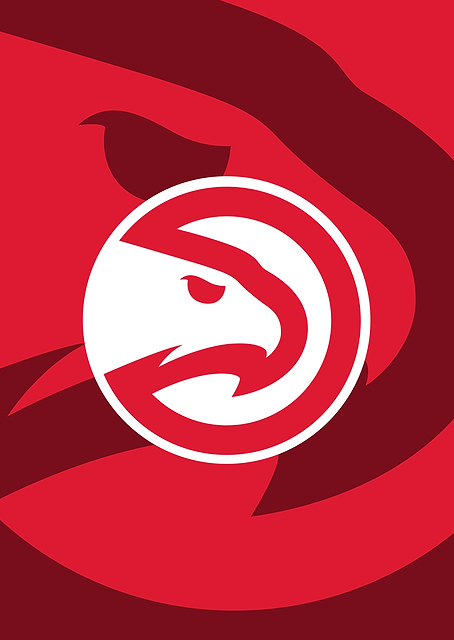 Atlanta Hawks True To Atlanta / PLATINA