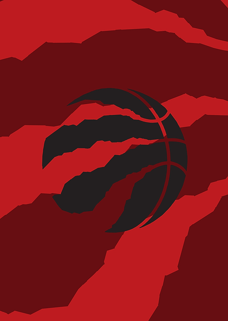 Toronto Raptors We The North / PLATINA