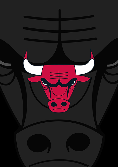 Chicago Bulls Iconic Charge / PLATINA