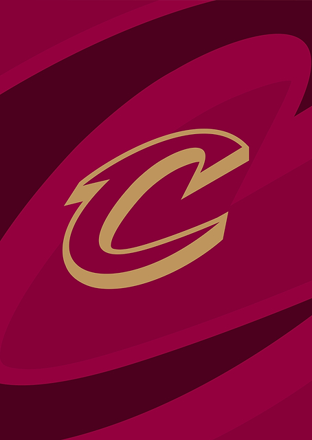 Cleveland Cavaliers Defend the Land / PLATINA