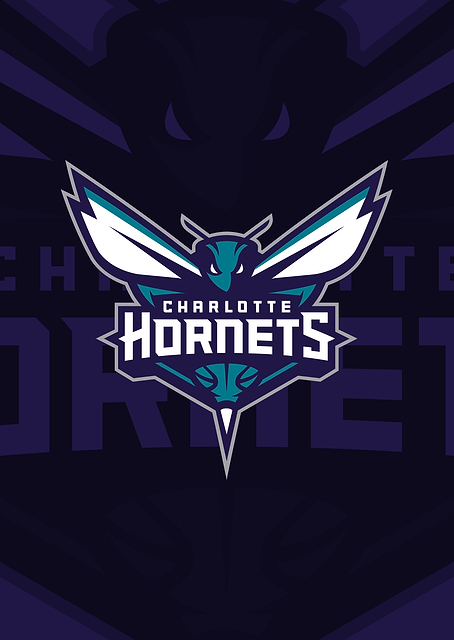 Charlotte Hornets The Hive's Buzz / PLATINA