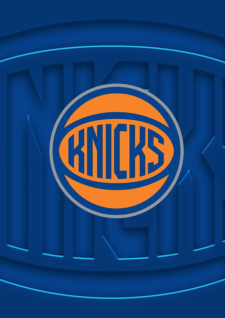 New York Knicks The Garden Ball / PLATINA