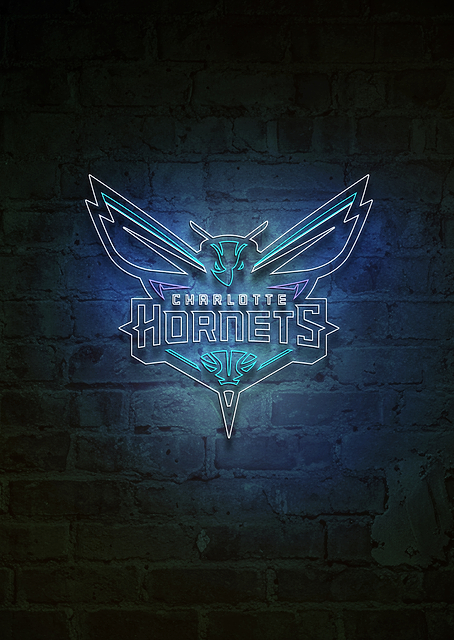 Charlotte Hornets Buzz City Neon / PLATINA