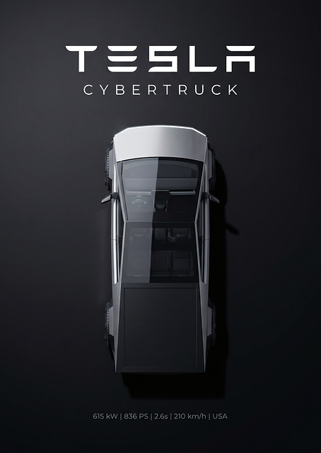 Tesla Cybertruck Top View / PLATINA