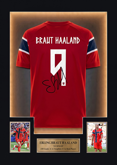 Erling Haaland Memorabilia / PLATINA