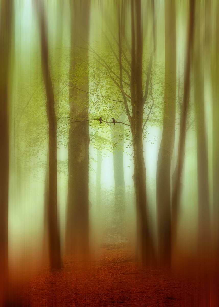 April Forest Collection 'April Forest' Poster, picture, metal print, paint by Dirk Wüstenhagen ...