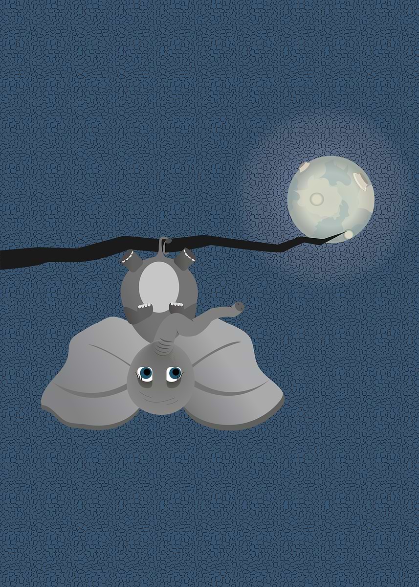 Elephant Rabbit Bat 'Elephant Bat' Poster, picture, metal print, paint by Filip Lakic ...