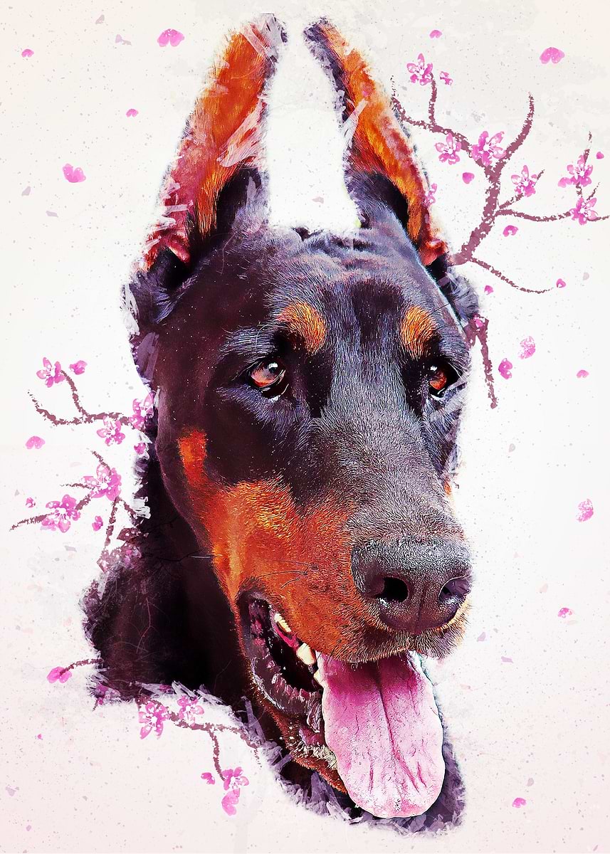 Dobermann' Poster, picture, metal print, paint by Rafael Dxgn