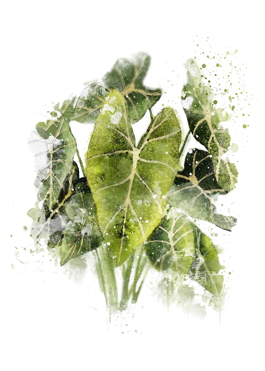 'Philodendron Plant 2' Poster, picture, metal print, paint by Gush Art ...